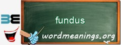 WordMeaning blackboard for fundus